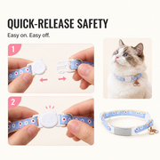 Quick-release buckle feature