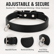 Adjustable buckle and reinforced pet collar hardware