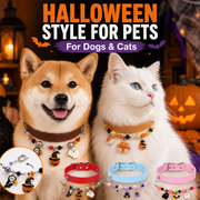 Halloween charm collars for dogs and cats